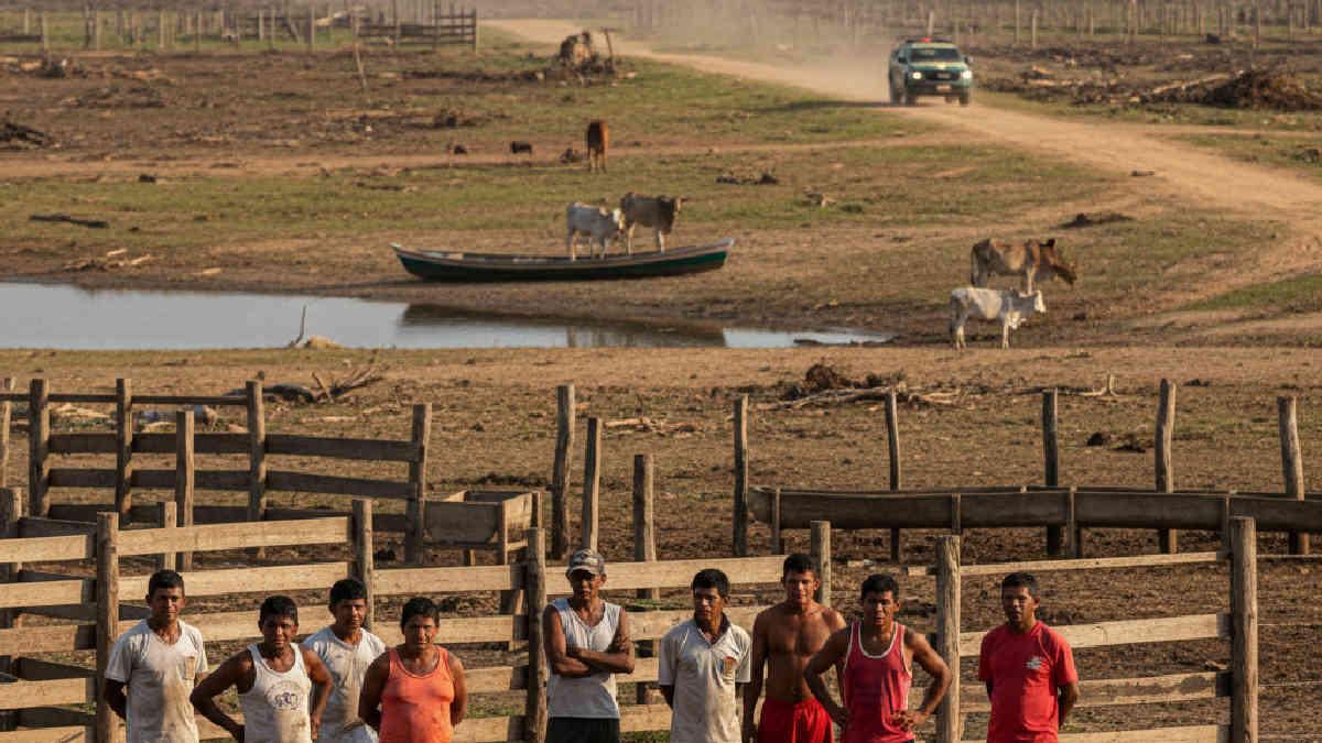 alive onde est - Impacto Social e Econômico nas Comunidades