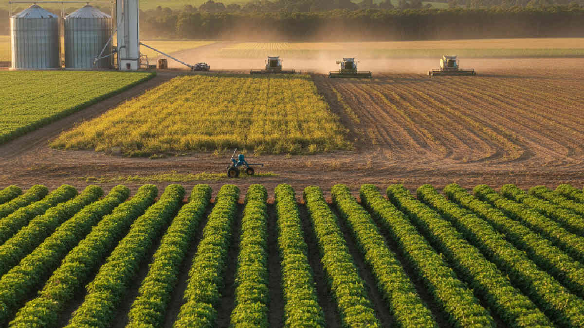 TOTVS Protheus GFE - Potencial Agrícola e Desafios de Produtividade