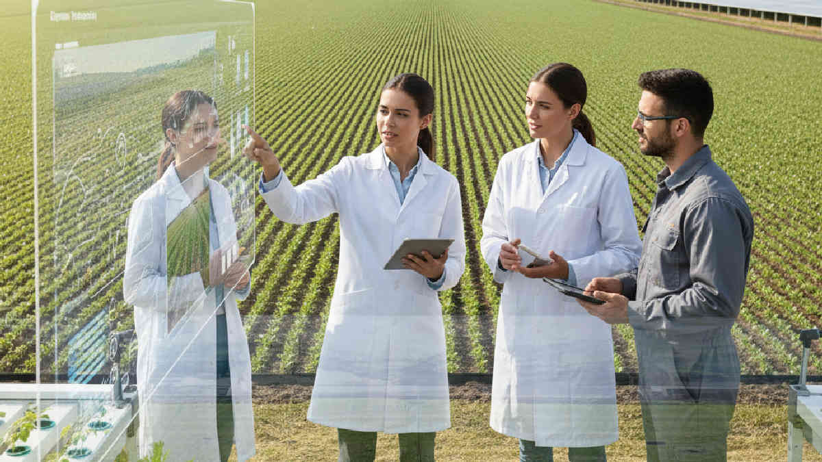 cursos online - A Importância da Gestão Estratégica no Agronegócio Moderno cursos online - A Importância da Gestão Estratégica no Agronegócio Moderno